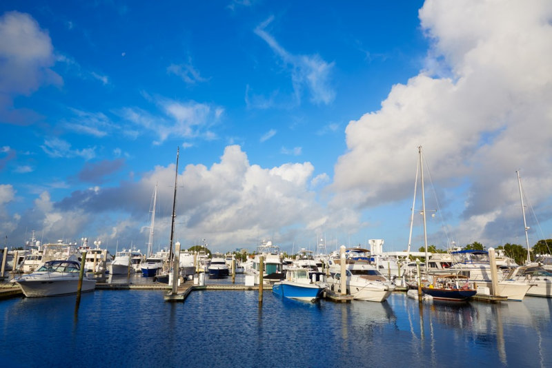 boats